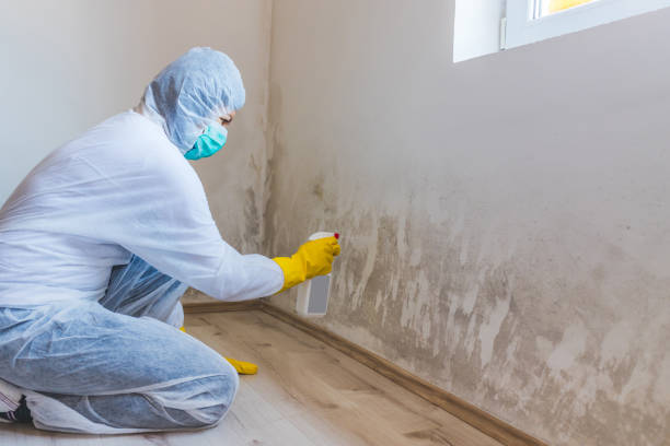 Hvac And Air Duct Mold Remediation inspection of HVAC system in Beaverton
